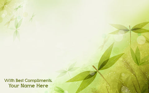 Green Dragon Flies